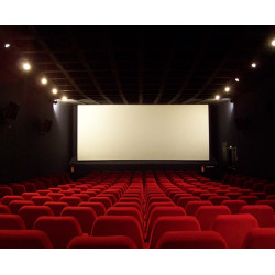 9,50€ séance cinéma Gaumont Pathé moins cher