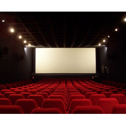 7,20€ Ticket cinéma Grand Ecran Bergerac pas cher